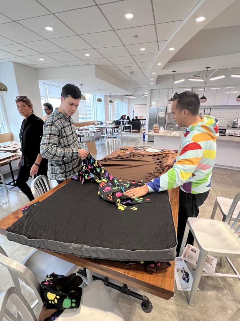 Participants at the Paws For A Cause team building event collaborate on creating large, comfortable dog beds for donation to local animal shelters, helping animals in need while fostering teamwork.