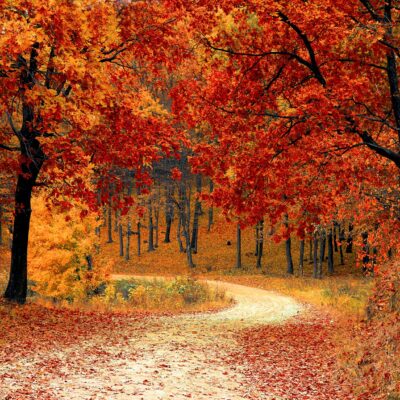 Featured Image For 9 Fall Event Ideas to Transition Your Team into a New Season Team Building Post