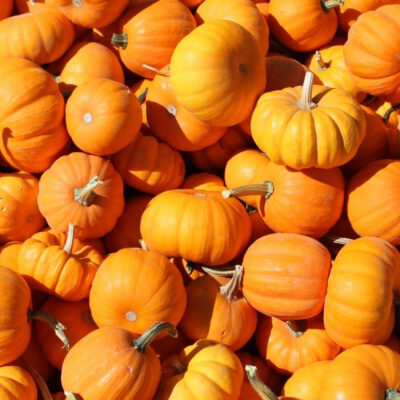 Featured Image For It’s National Pumpkin Day! Top 7 Ways To Celebrate With Your Team Team Building Post