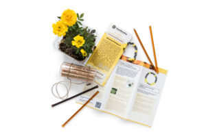 Trivia kit for take your child to work day