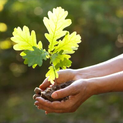 Featured Image For Our 10 Favorite Earth Day Ideas for Work Team Building Post